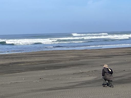IMG_8993.jpeg