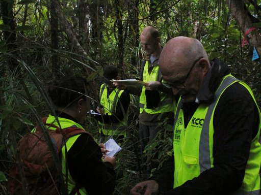 VOLUNTEER SESSIONS IMAGE 2.jpg